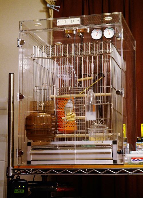 文鳥の鳥かごを入れたアクリルケース