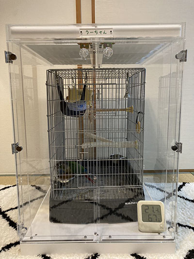 �E���R�C���R�̖����΍�