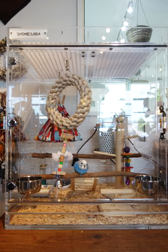 �Z�L�Z�C�C���R�@�A�N�����P�[�X