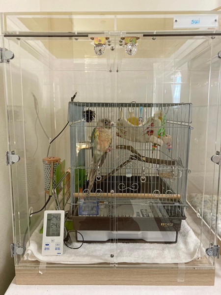 �E���R�C���R�@�A�N�����P�[�X