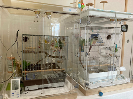 �ۉ����̃E���R�C���R�̃A�N�����P�[�X