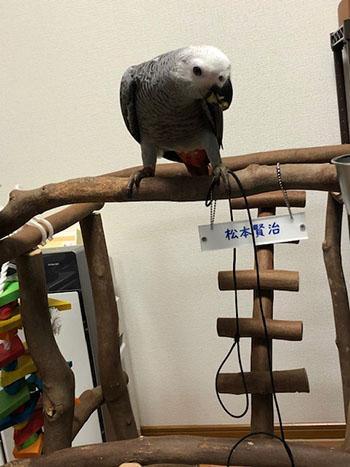 ���}���������E��