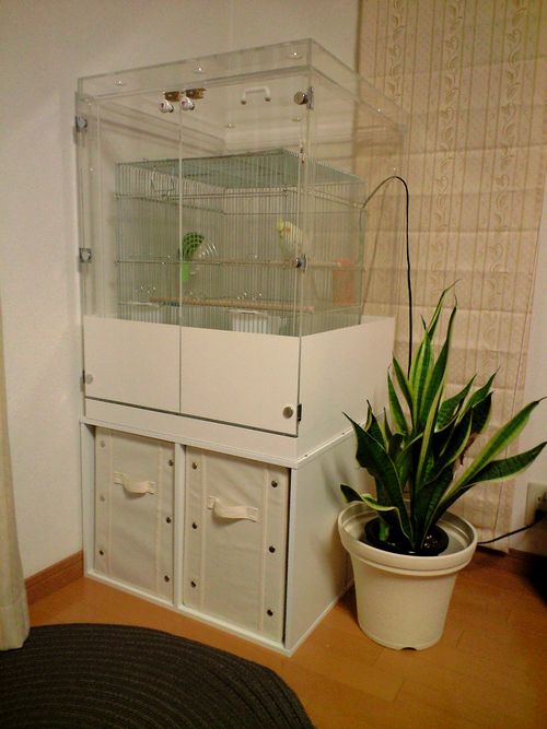 �I�J���C���R�̒���������ꂽ�A�N�����P�[�X