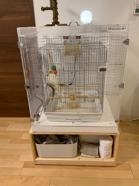 �I�J���C���R�̃A�N�����P�[�X