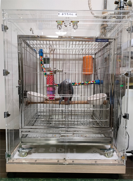 ���E���̃A�N�����P�[�X