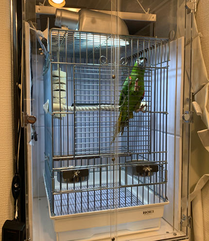 �R�~�h���R���S�E�C���R�@�A�N�����P�[�X