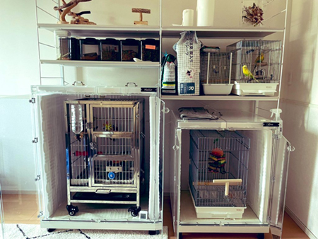 ����������ꂽ�A�N�����P�[�X