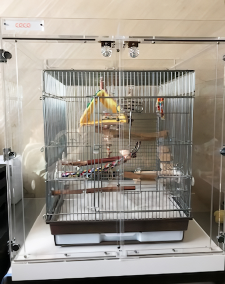 �������ƃA�N�����P�[�X