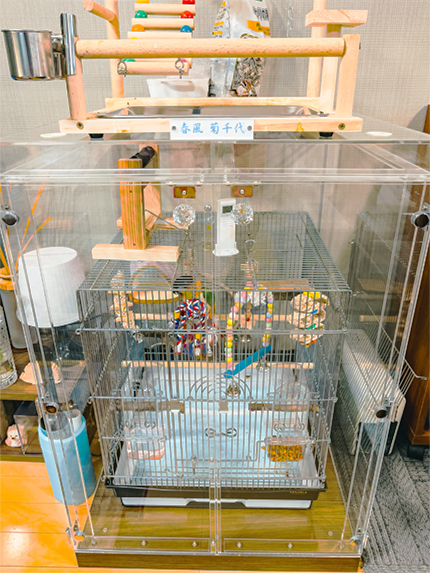 インコのアクリルケース 遊び場が満載