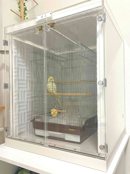 �I�J���C���R�̖����΍�