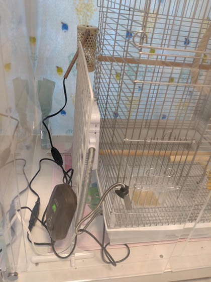 �y�b�g�q�[�^�[�ŃP�[�X�̒���ۉ�