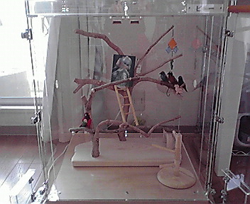 アクリルケースの中にバードジム