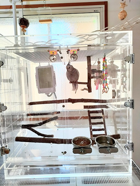 オカメインコのアクリルケース