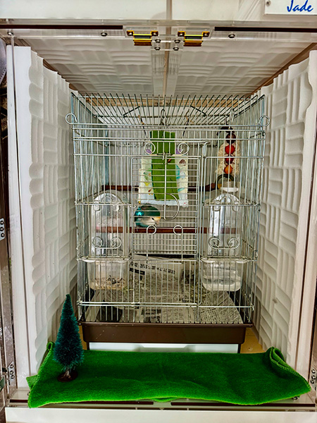 コザクラインコの鳴き声対策　アクリルケース