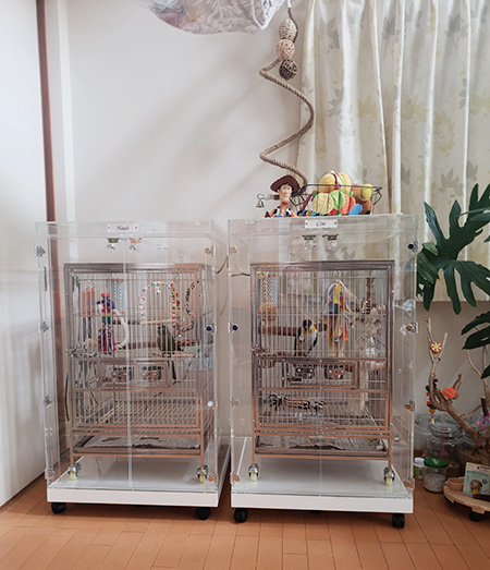 こんぱまるオリジナルゲージに合わせた、インコのアクリルケース