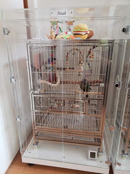ウロコインコの鳥かごを入れたアクリルケース