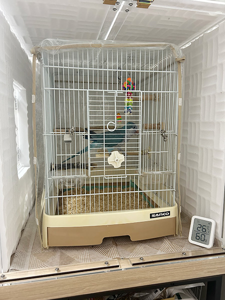 オキナインコの鳥かごを入れたアクリルケース