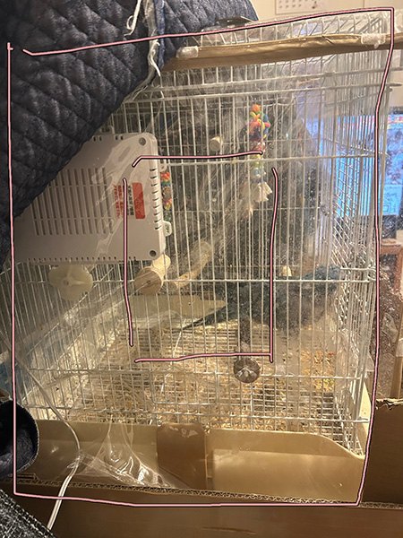 オキナインコの鳥かご