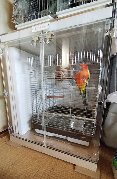 コガネメキシコインコの鳴き声防音用アクリルケース