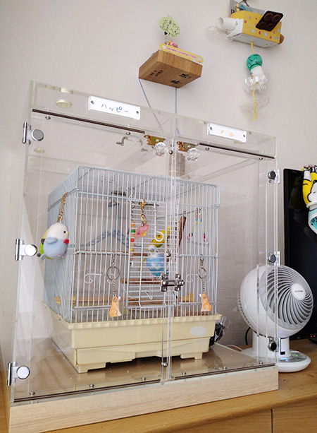 セキセイインコの鳥かごを入れたアクリルケース