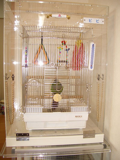 �E���R�C���R�̒���������ꂽ�A�N�����P�[�X