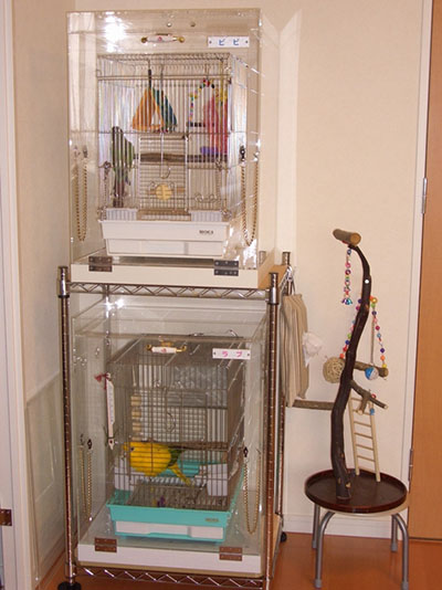 �A�N�����P�[�X2�i