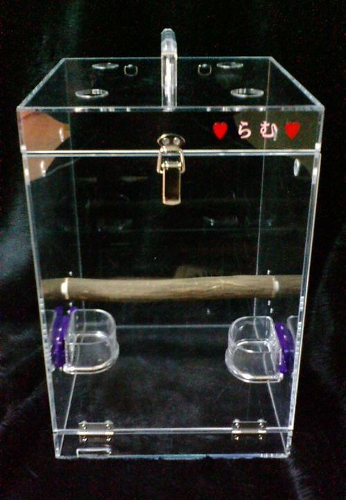 アオメキバタンのキャリーケース