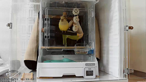 お休みカバーをかけた鳥かご