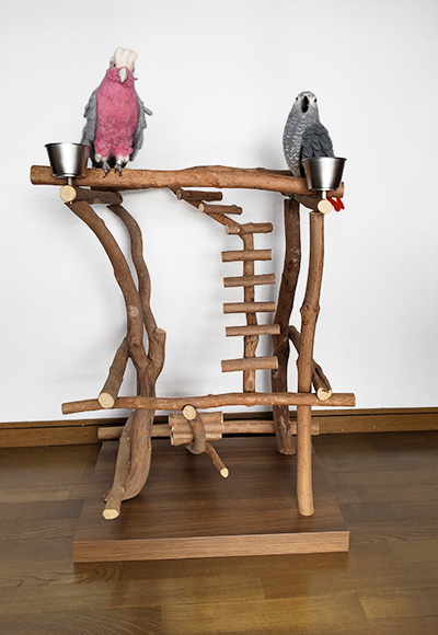 インコ用のバードジム