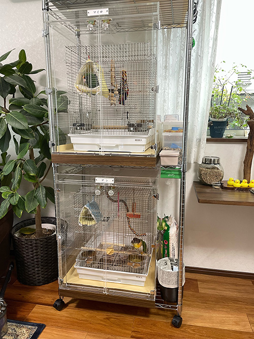 スチールラックに設置したインコのアクリルケース