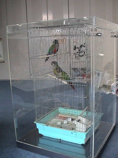 �E���R�C���R�̖����΍�@�A�N�����P�[�X