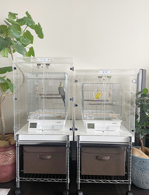 インコのアクリルケースの設置例