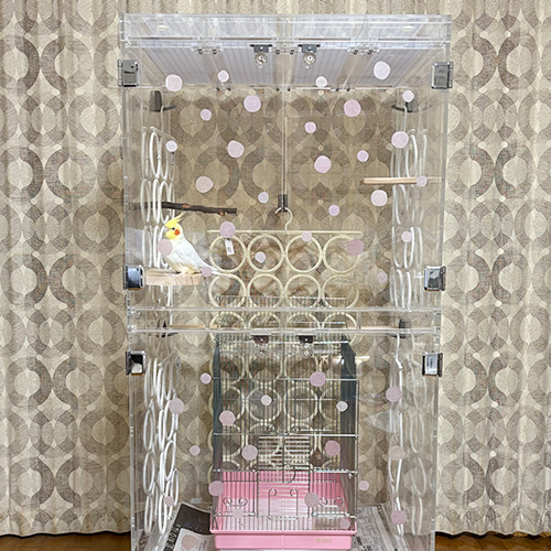 アクリルケースの壁にウォールステッカー