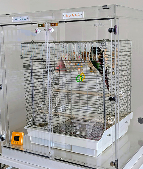 ウロコインコ用のアクリルケース