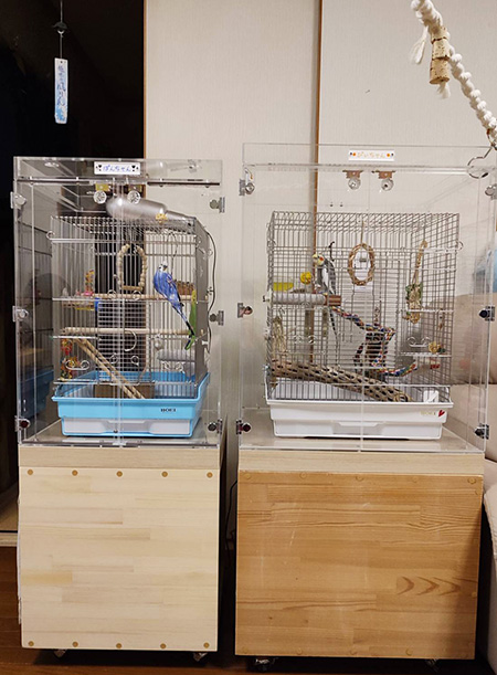 セキセイインコの鳥かごを入れたアクリルケース