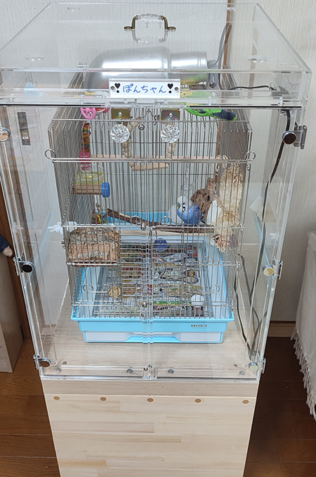セキセイインコの鳥かごを入れたアクリルケース