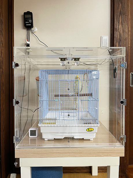 オカメインコの鳥かごを入れたアクリルケース