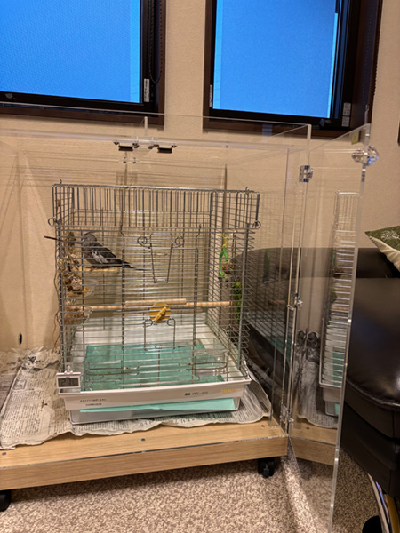 オカメインコ用のアクリルケース