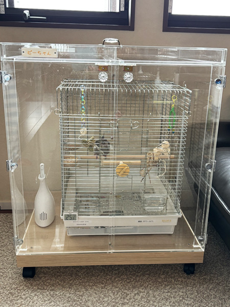 アクリルケースでインコの脂粉対策