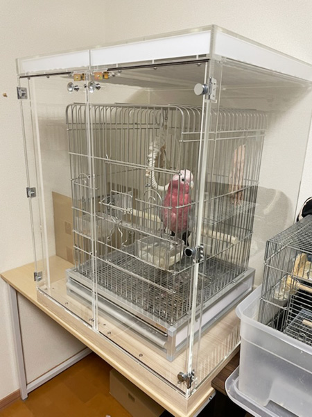 モモイロインコの鳴き声対策