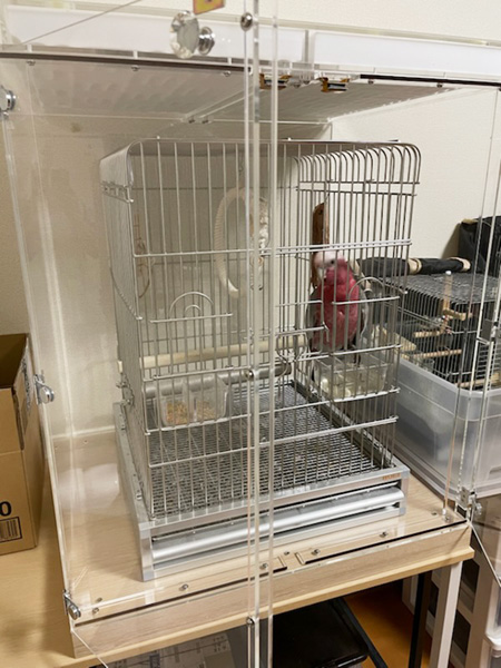 モモイロインコの鳥かごを入れたアクリルケース