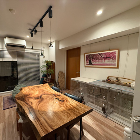 インコのアクリルケースを居間に並べて設置