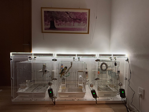 インコのアクリルケース内の照明