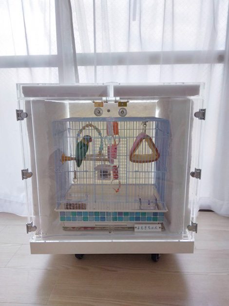 ボタンインコの療養アクリルケース