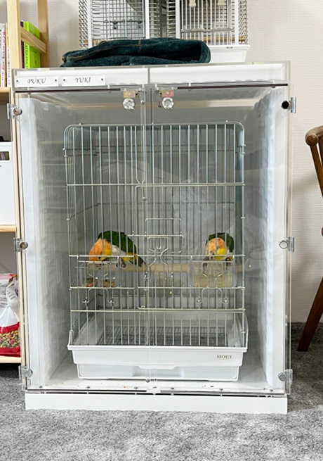 シロハラインコの鳴き声対策のアクリルケース