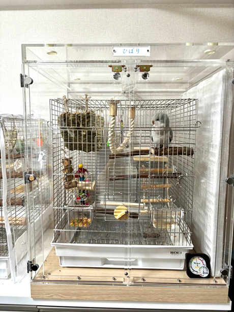 アクリルケースでインコの餌の飛び散り対策