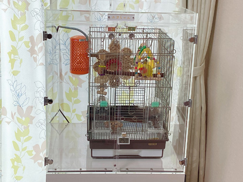 コザクラインコの保温ケース