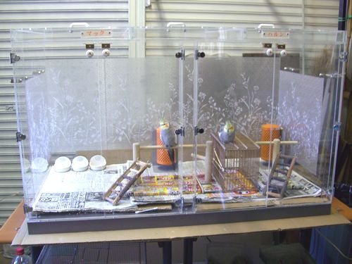 アクリルケース内に、自作のアスレチックジム設置