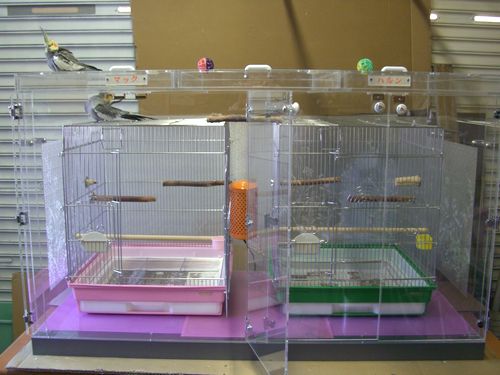 鳥かご2台入るアクリルケース