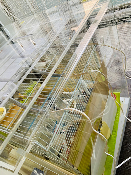 パネルヒーター用のコンセント穴